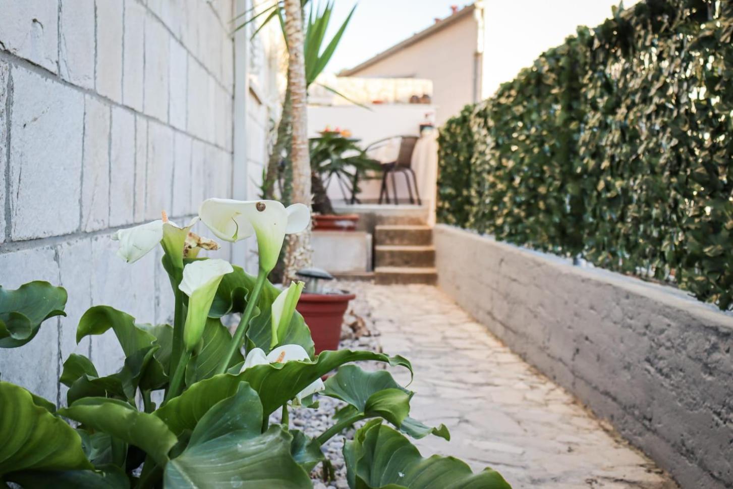 Luxury Apartment Marko Dubrovnik Exterior foto